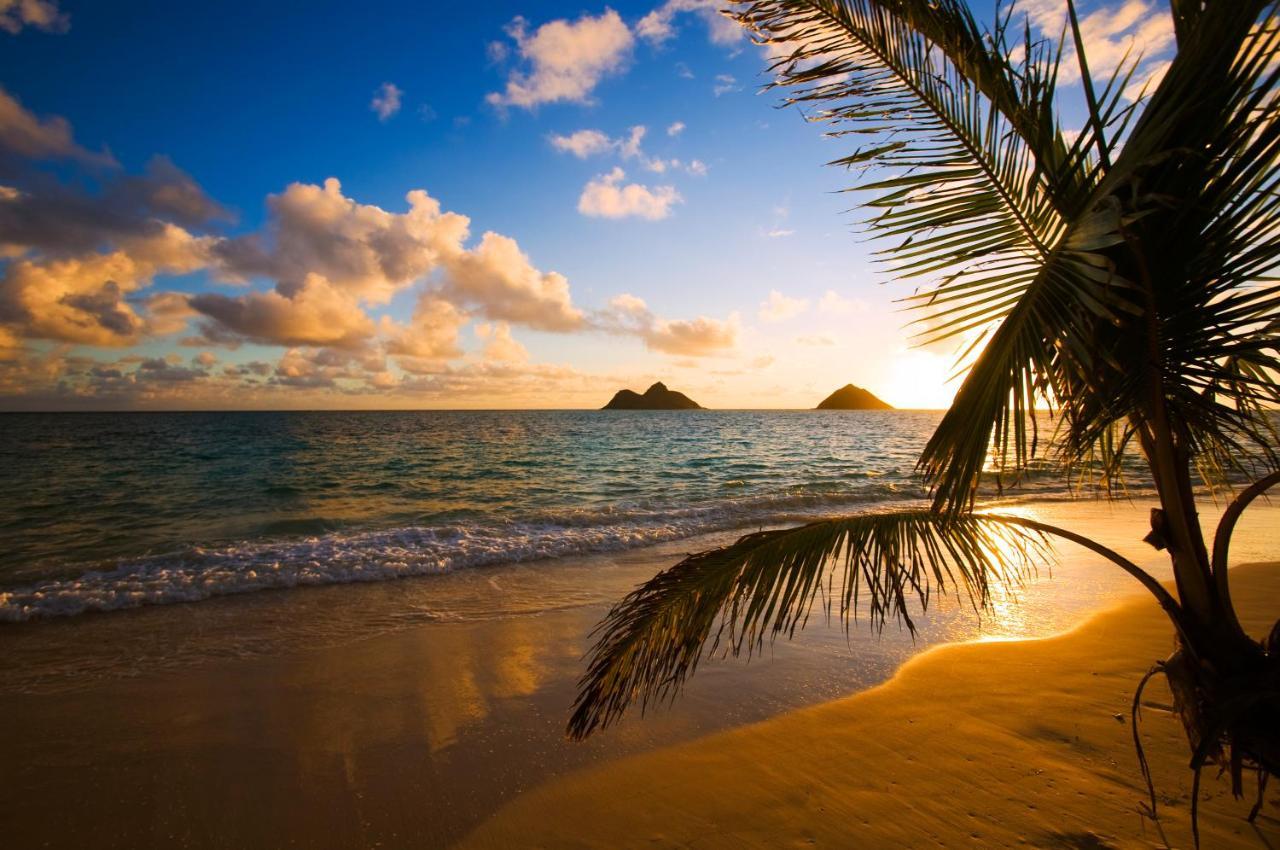 Fabulous Ocean & Diamond Head View With Free Parking!