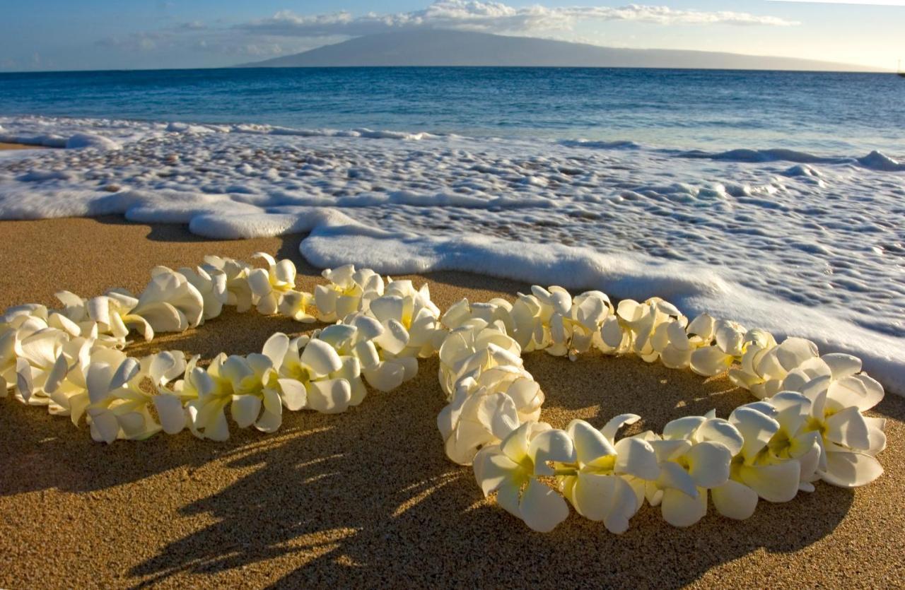 Fabulous Ocean & Diamond Head View With Free Parking! *